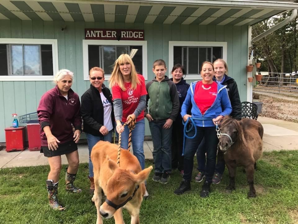 Theresa Thomson Antler Ridge_0.jpg