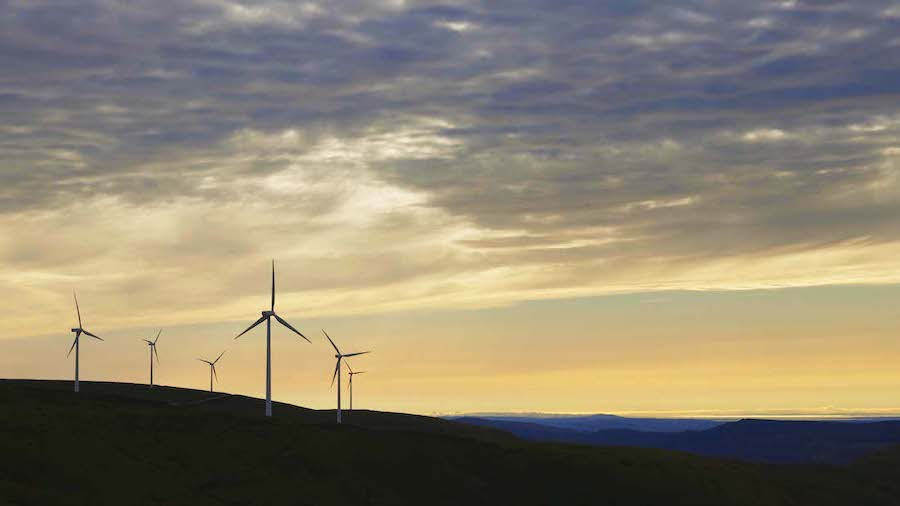 Mars Carbon Neutral Brands