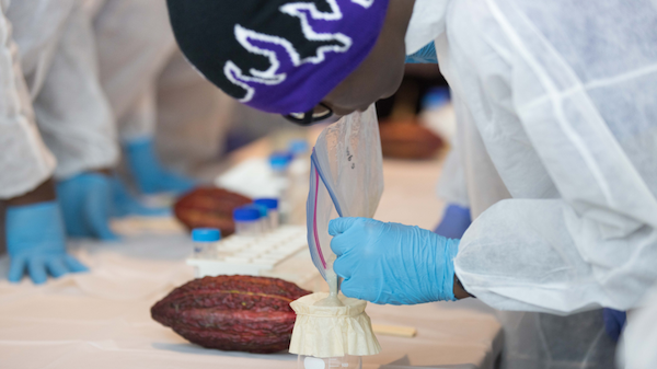 After School Matters student extracts DNA from a cocoa pod