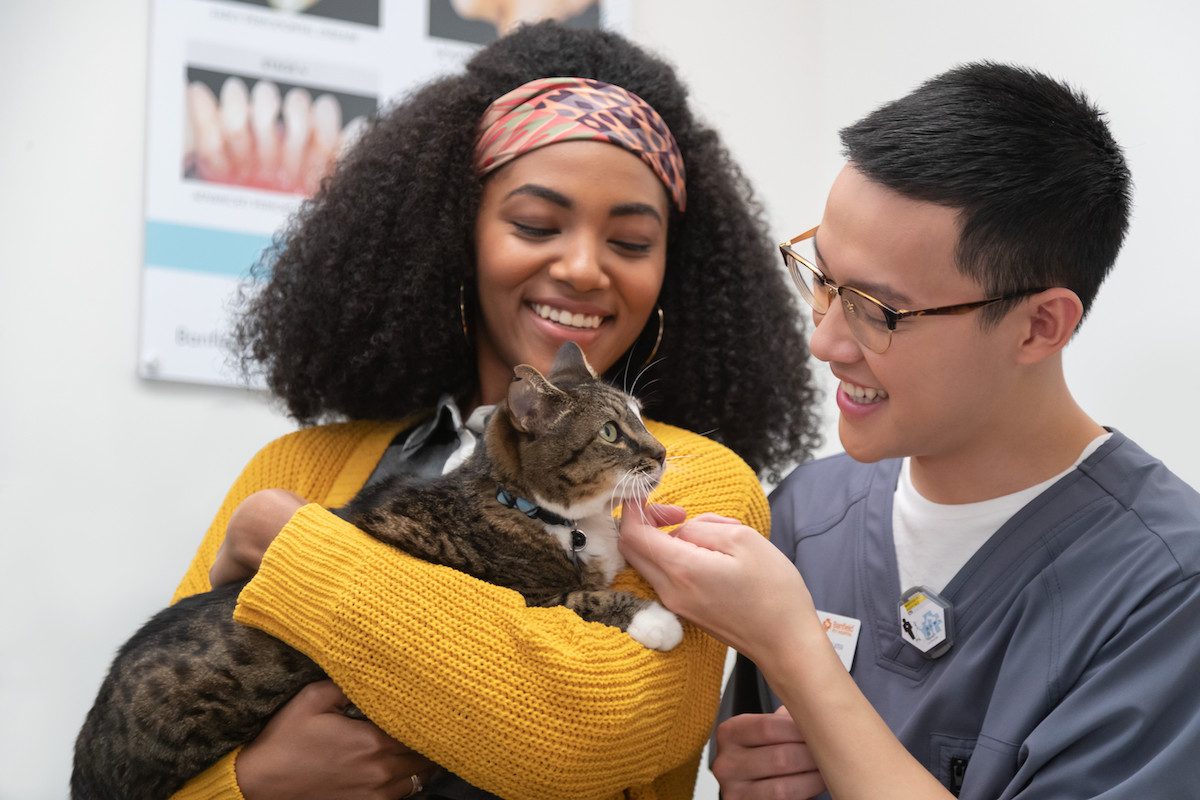 Woman at the vet holding a cat and smiling