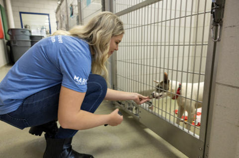 Mars "Service Human" Jamee Marshall feeding a dog at the Nashville Humane Association