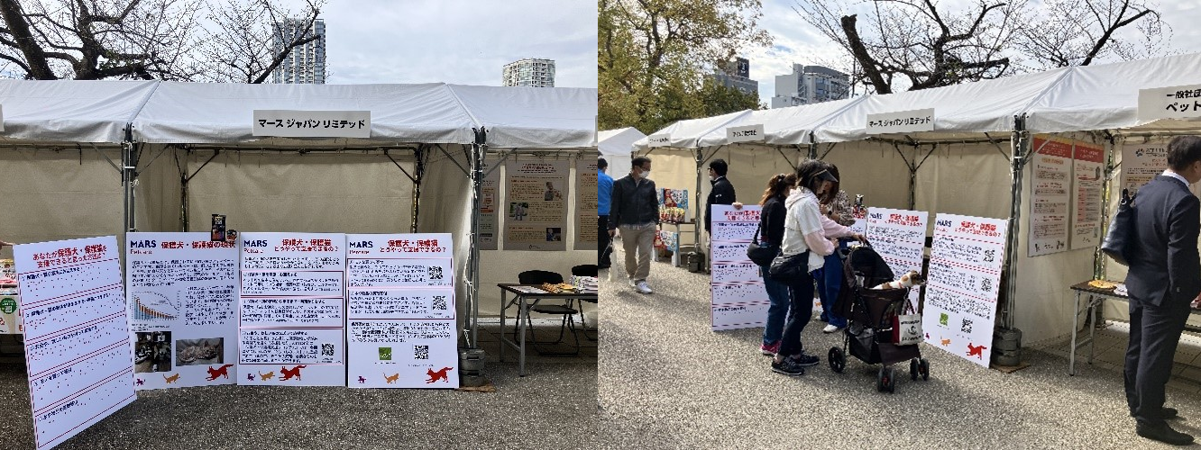 Mars world_veterinary_day_2023a