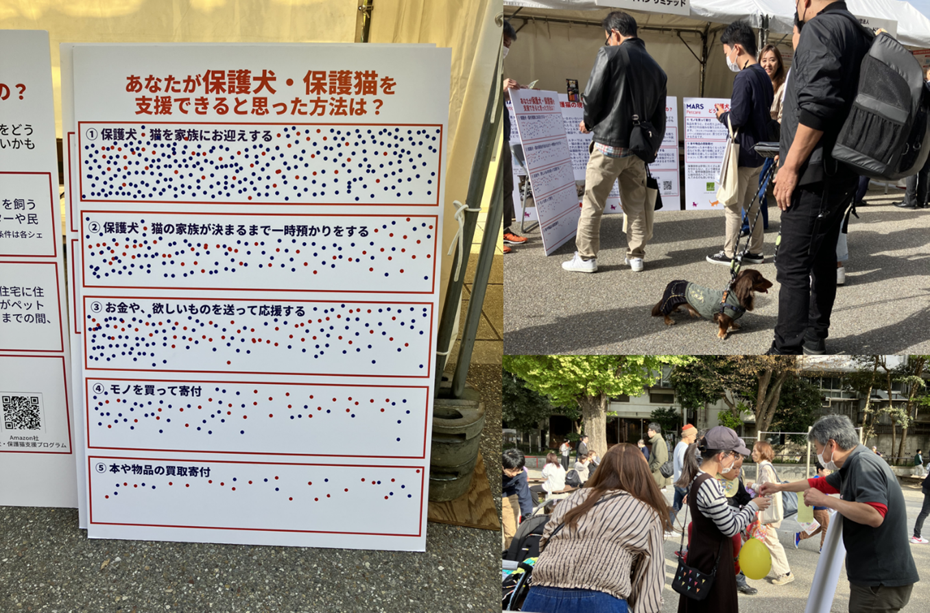 Mars world_veterinary_day_2023b