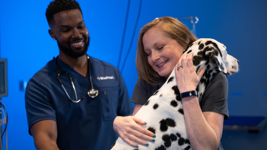 BluePearl announces new hospital in Monroeville | Mars Global