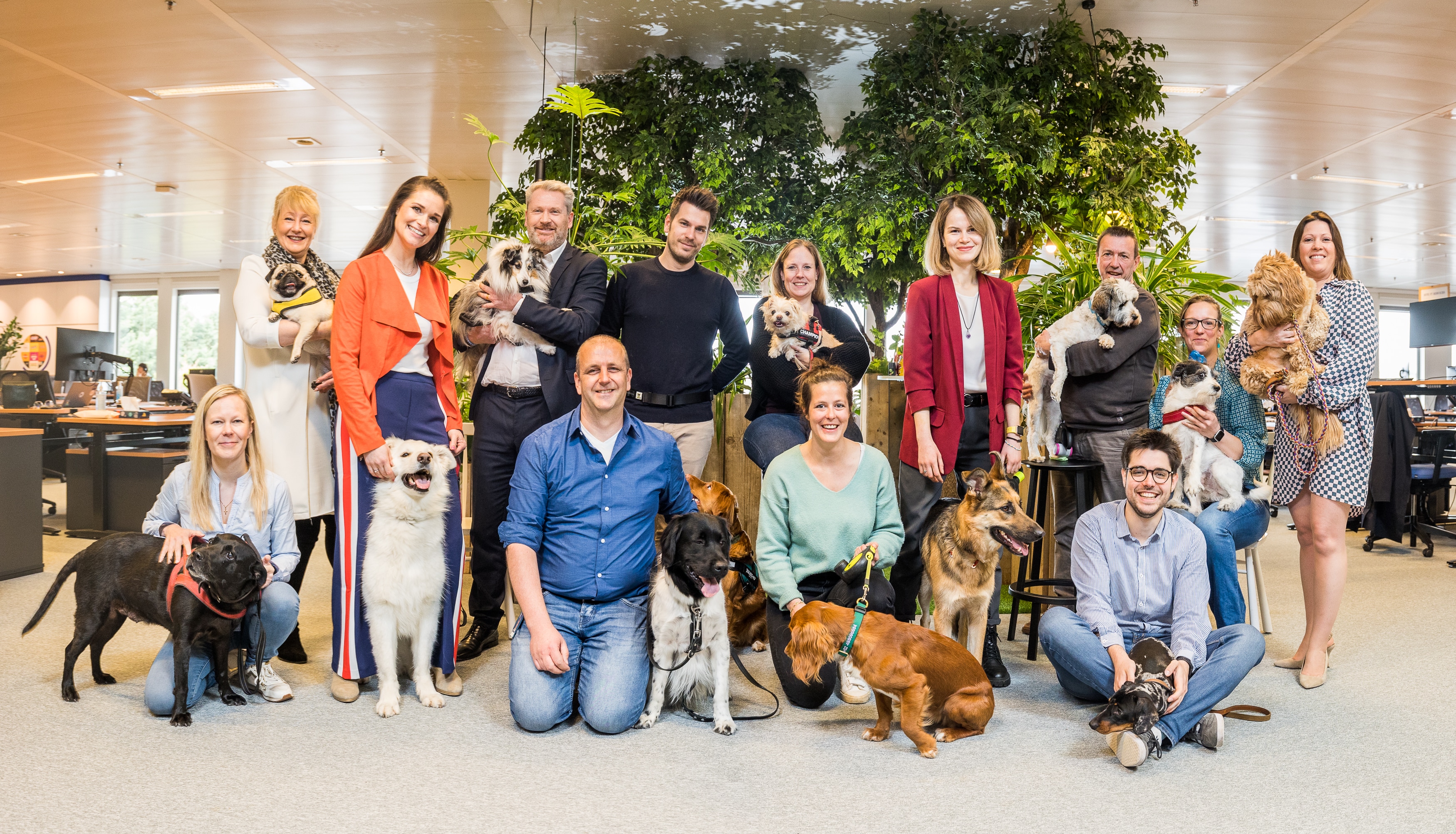 Pets and their owners in an office