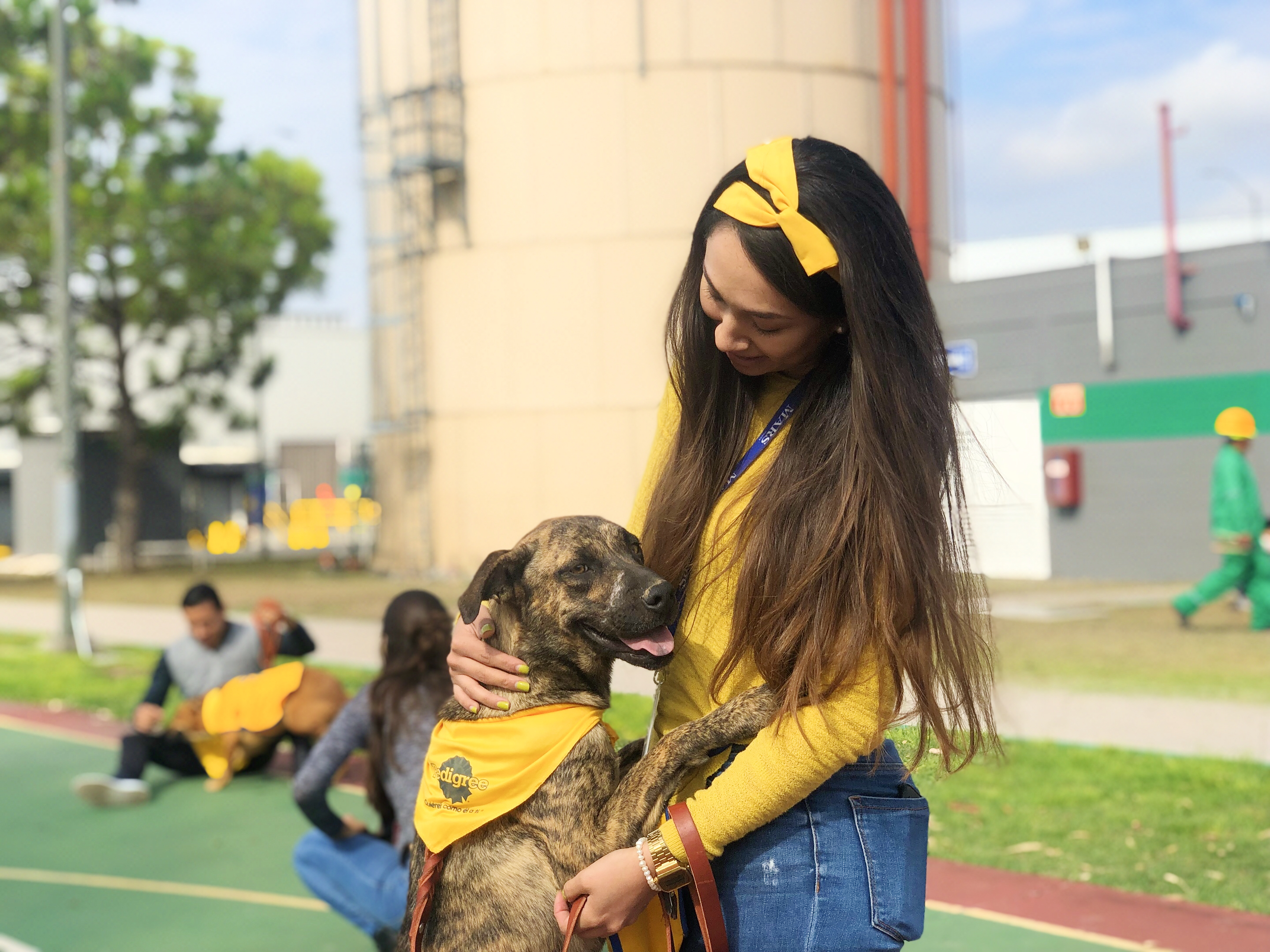 Programa Pedigree® Adóptame