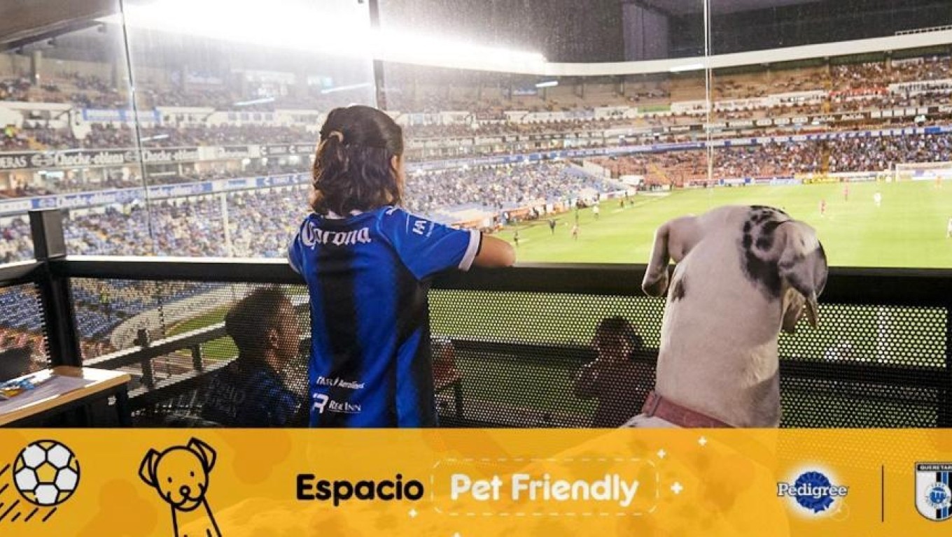 Conoce el Primer Estadio Pet Friendly en el Mundo