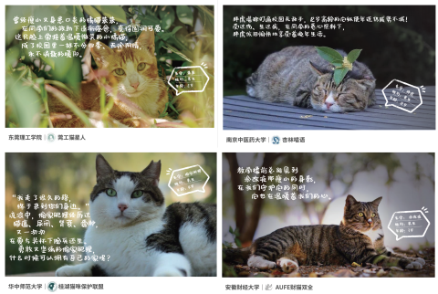 皇家携手京东健康、首都爱护动物协会共同发起“皇家校园喵拆蛋行动