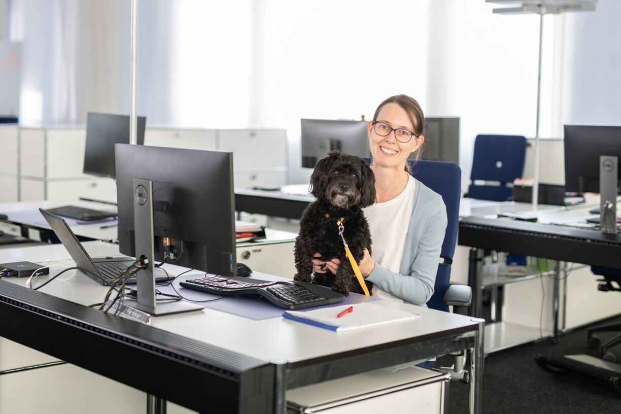 Hunde in Schweizer Büros