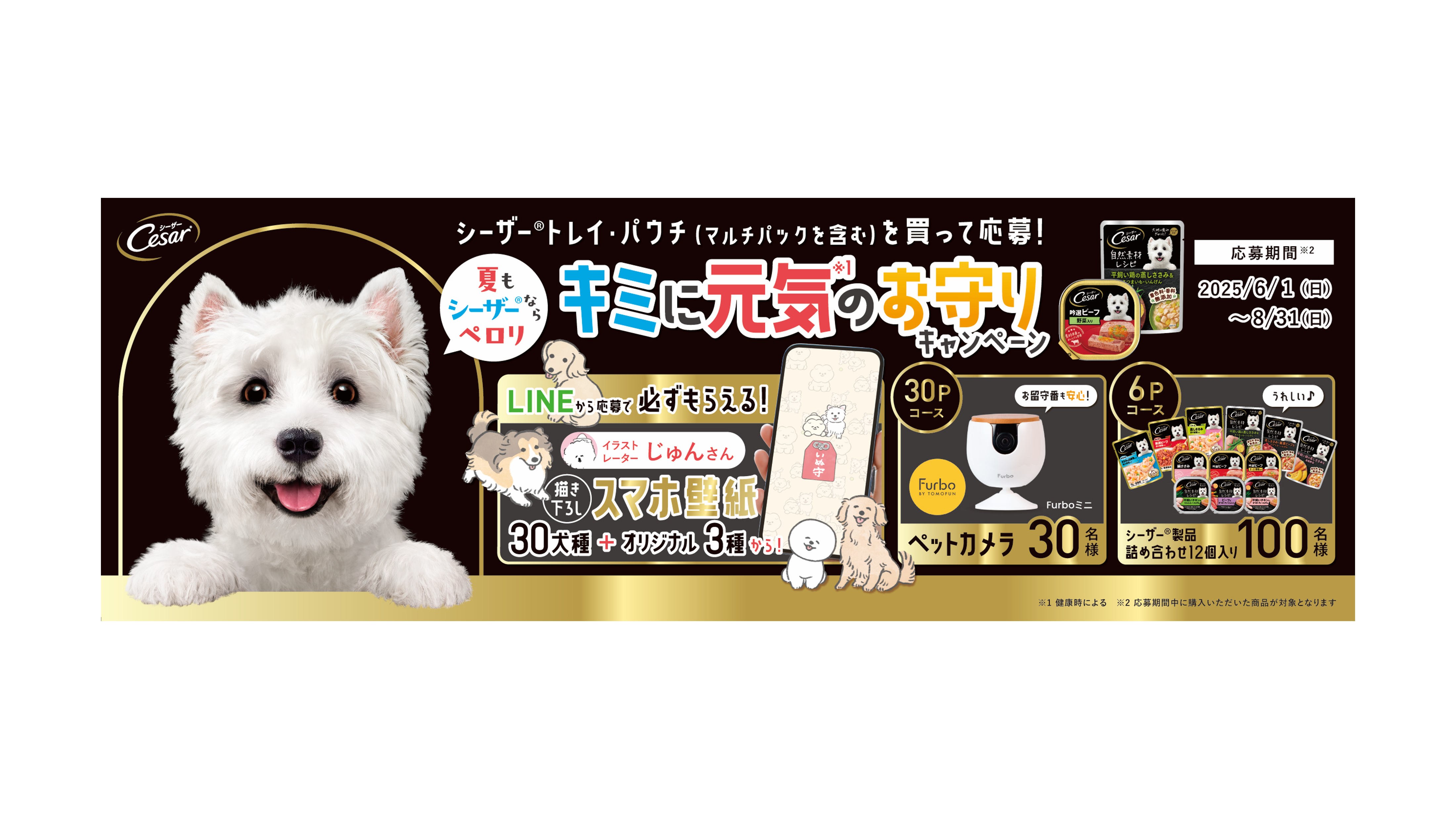シーザー様、専用ページになります！┏〇゛✧︎*。 X-scissors セニングシザー 7インチ 46目 シルバー 艶消し｜ペッツ