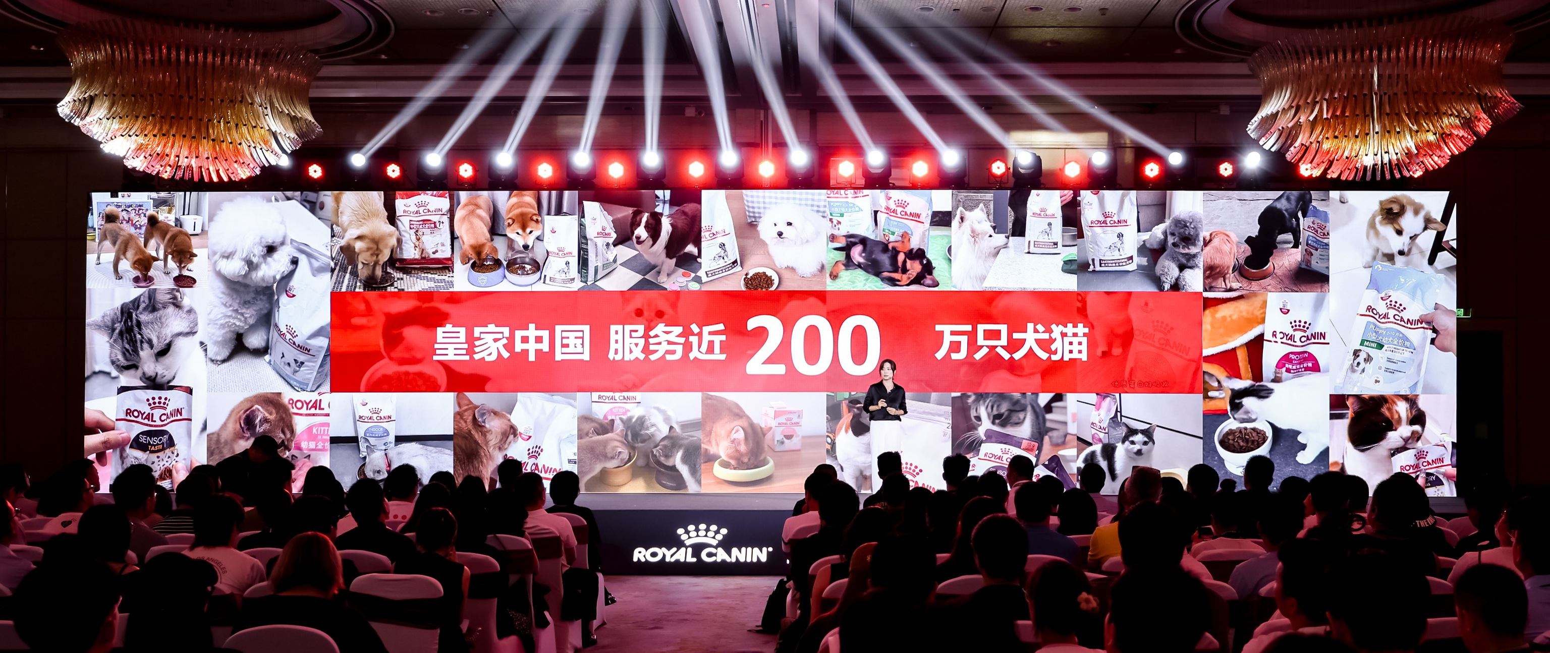 皇家 亚宠展