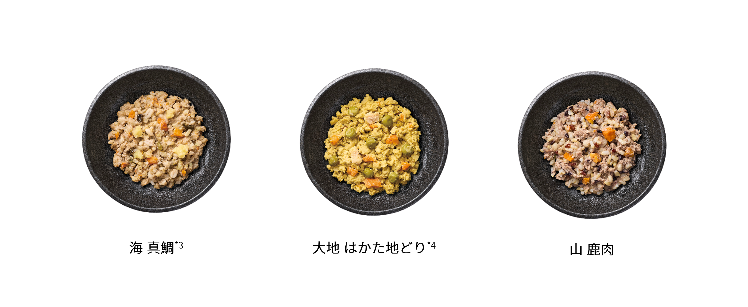 Nutro-Frozen-DogFood 20250904_Details