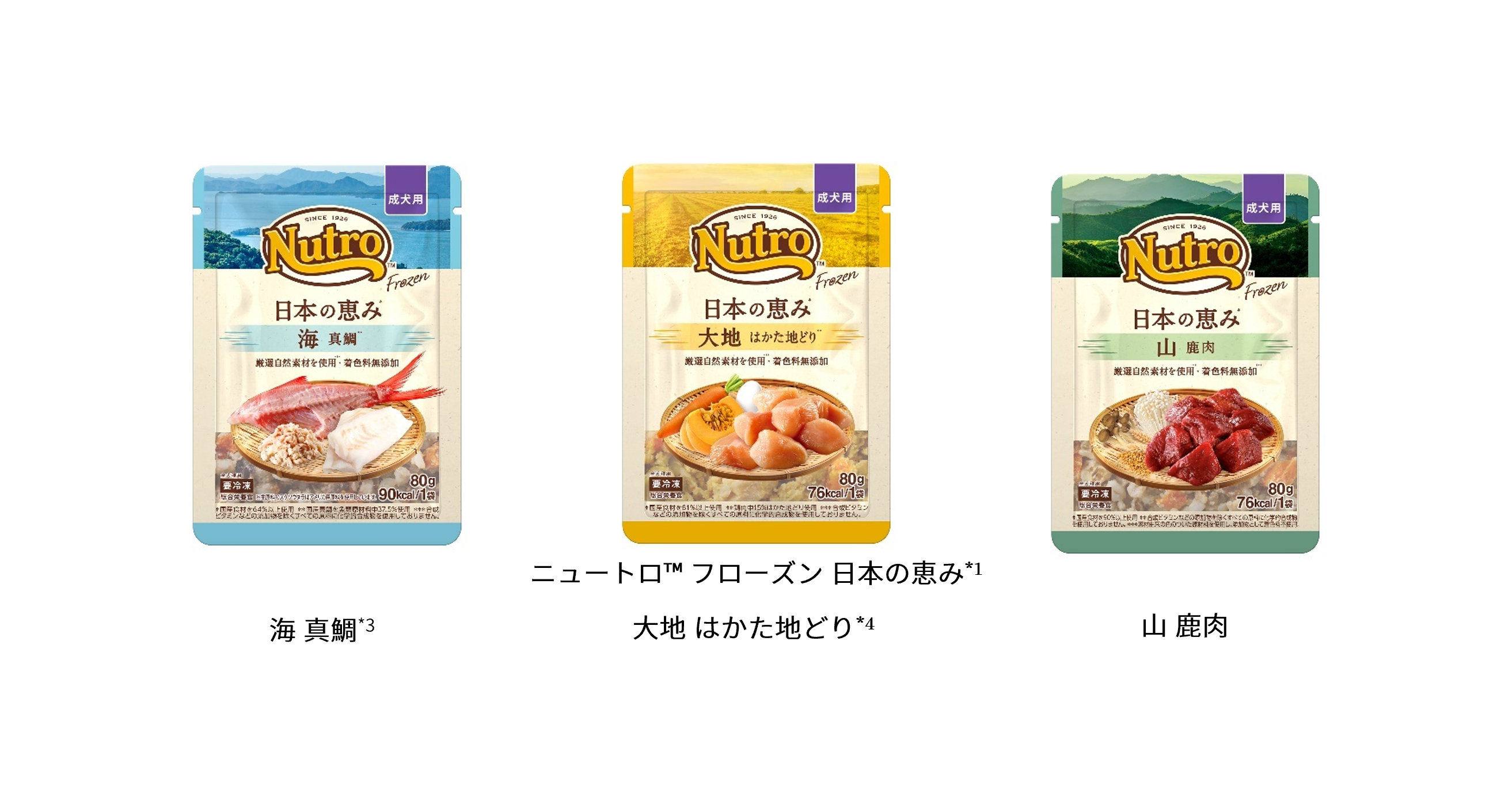 Nutro-Frozen-DogFood 20250904_MAIN