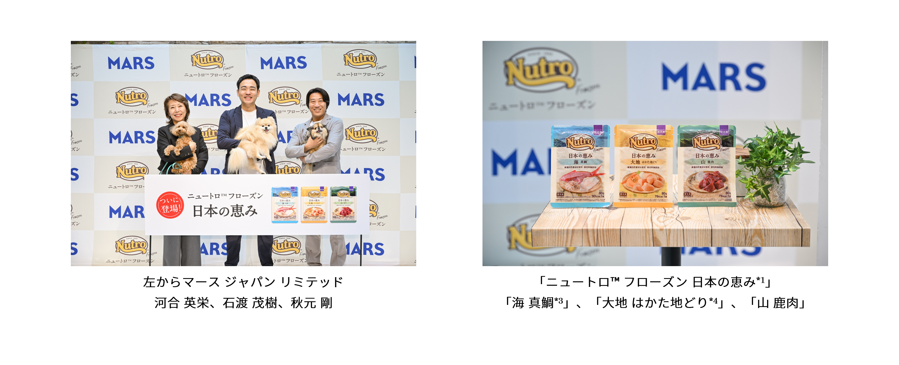 Nutro-Frozen-Postevent 20250904_MAIN