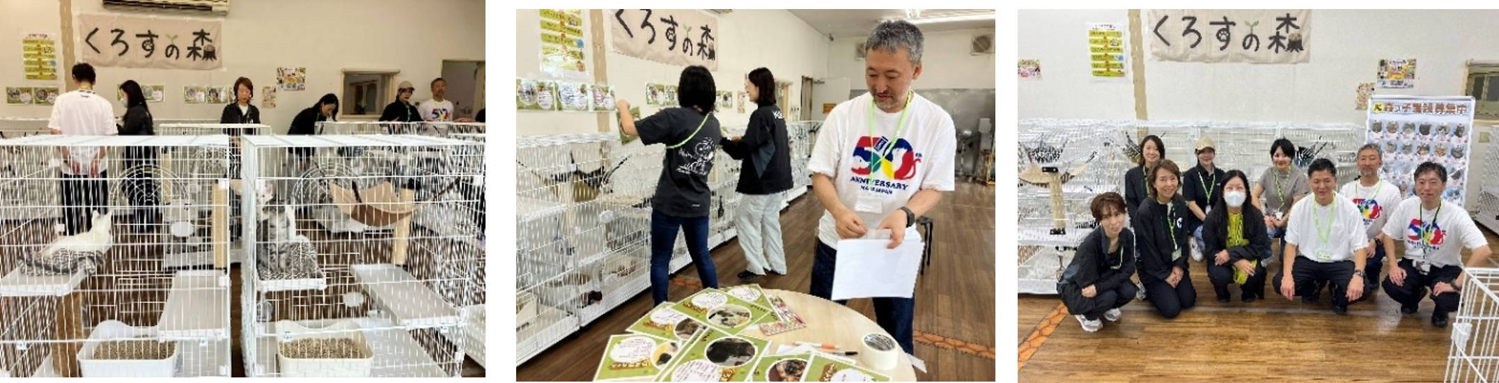 Global Adoption Weekend IMAGE_20251010