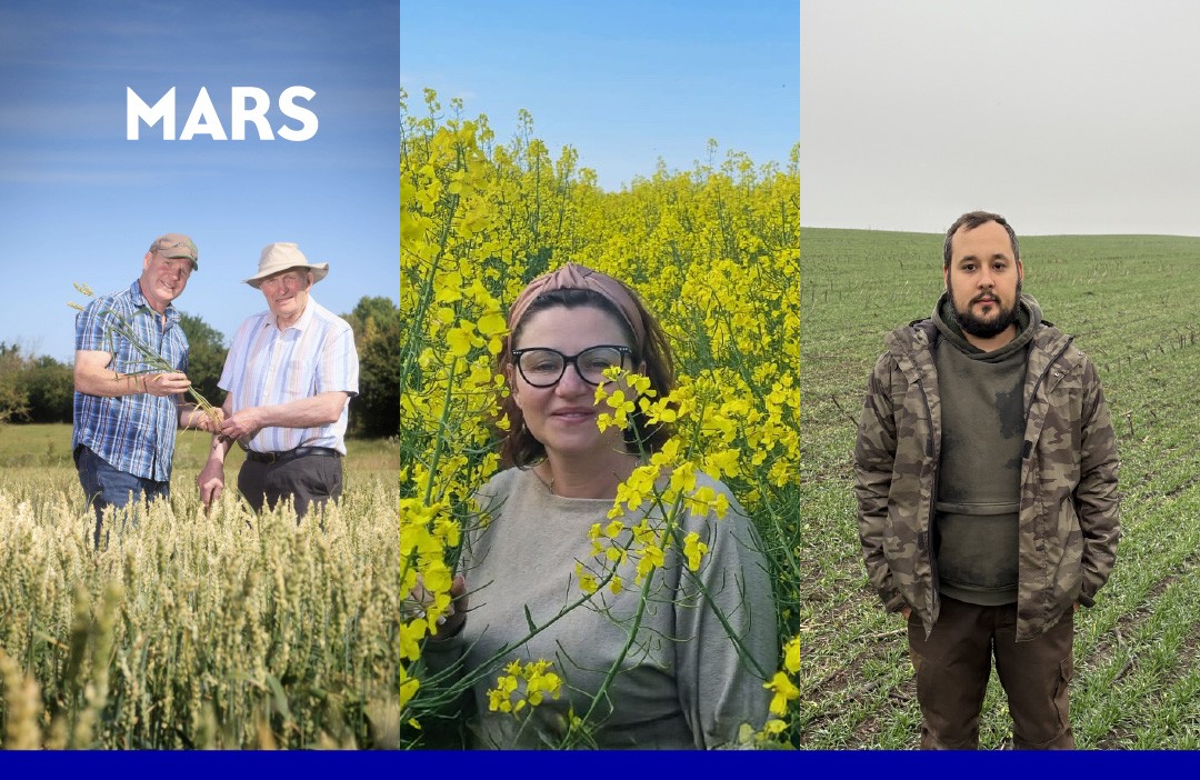 Farmers Antony, Izabela and Sándor