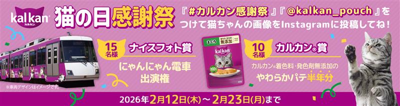 Kalkan-nekonohiCP MAIN-20260205