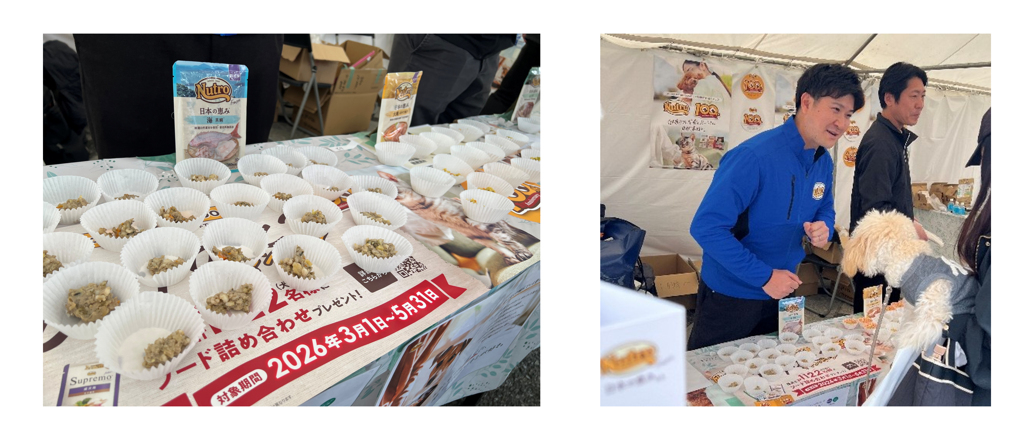 20260406_japan-wanko-expo pic