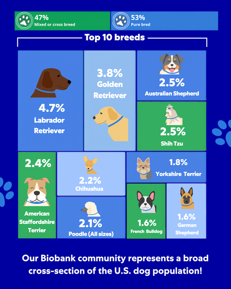 Top 10 breeds participating in the MARS PETCARE BIOBANK.