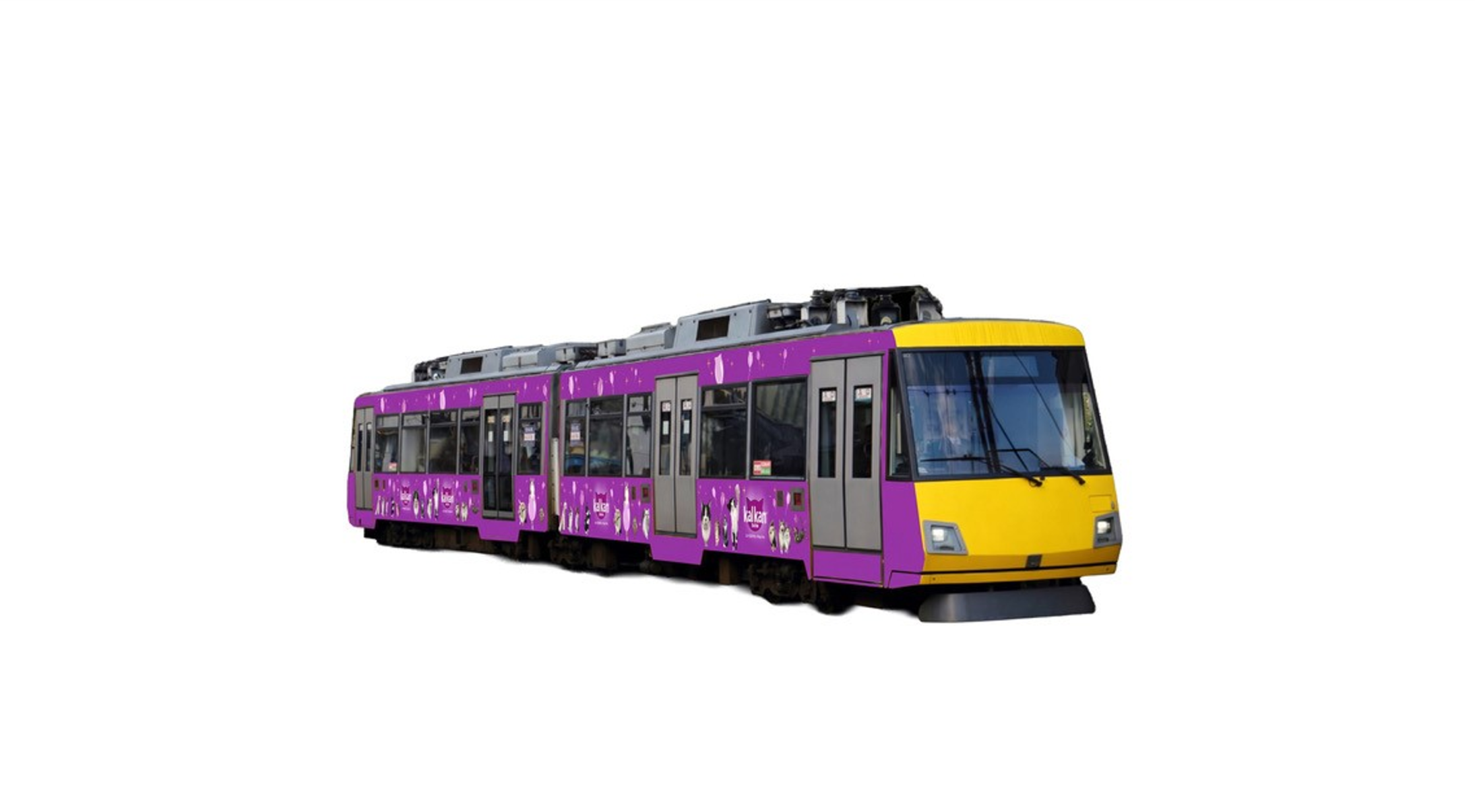 日常の風景の中を「愛猫が駆け抜ける」特別ラッピング電車 カルカン