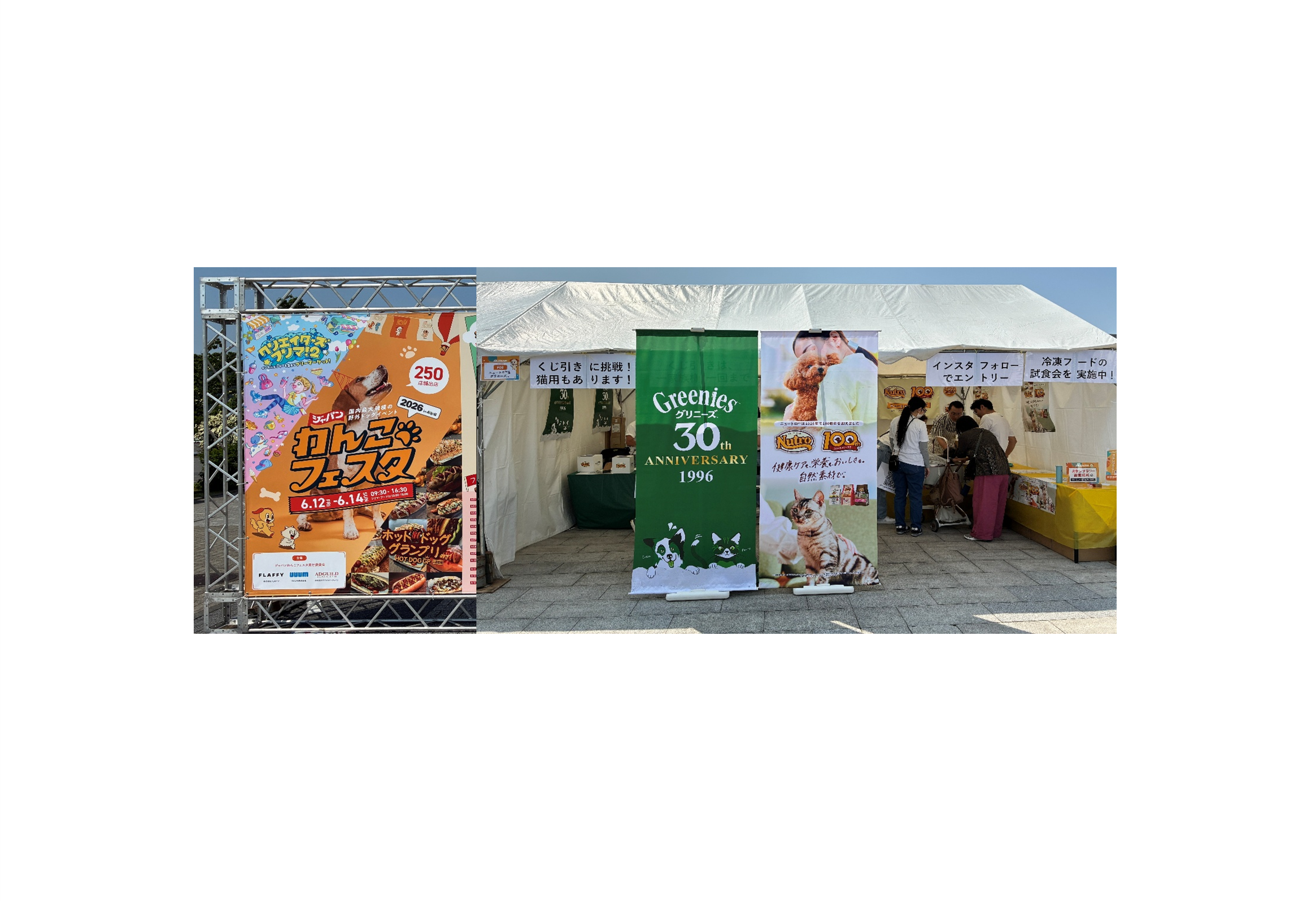 ジャパンわんこフェスタin お台場」に出展 | マースジャパン