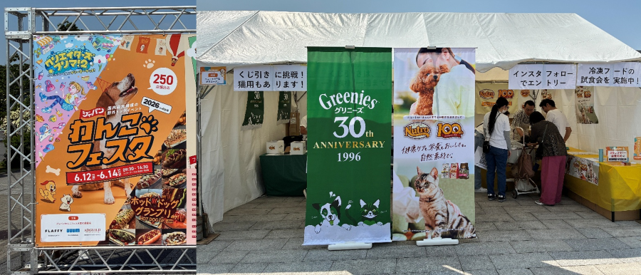 Wankofesta main-20260618