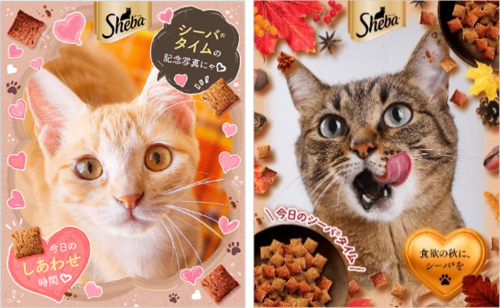 Sheba-campaign-20260901 photoframe