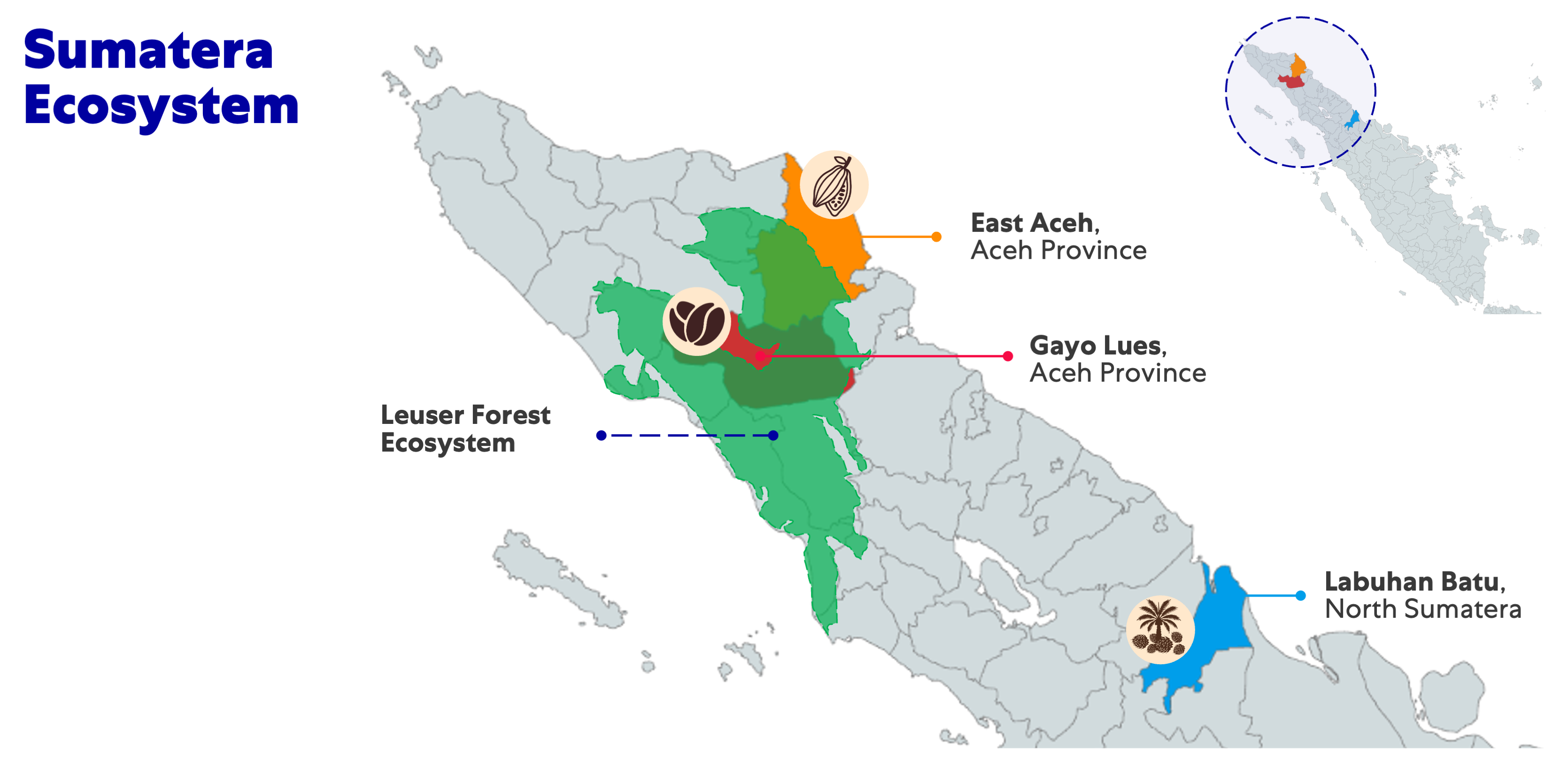 Illustration of Sumatera island showing the Sumatera ecosystem.