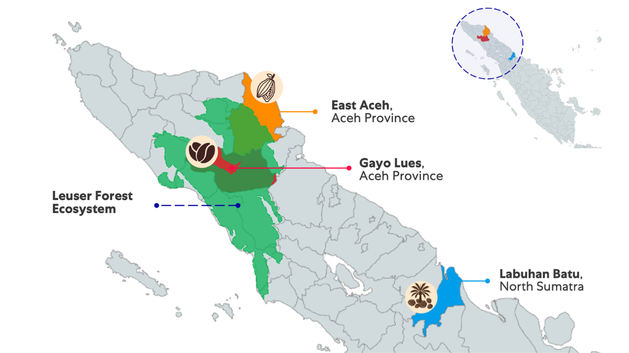 Illustration of Sumatra island showing the Sumatra ecosystem.