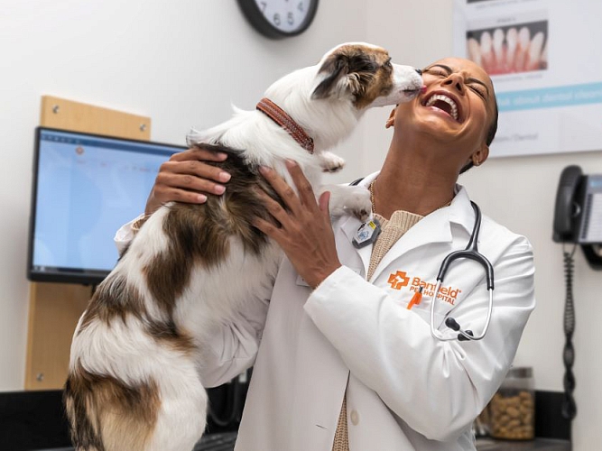 Banfield vet smiling and holding a dog in exam room