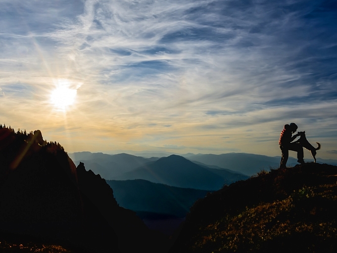 Person with a dog on a mountain