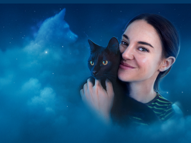 Woman in night sky clouds with black cat