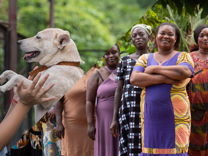 Scientist, woman holding her dog, and group of women