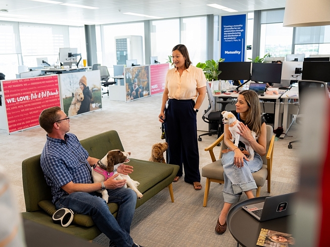 Mars Associates with their dogs at the office.