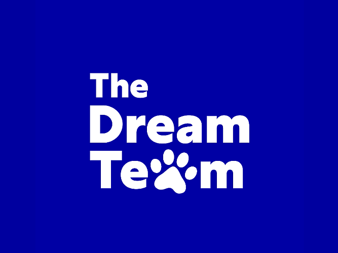 Mars_Dream_Team Header
