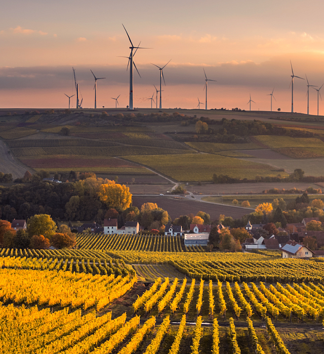 A farm with windmills in the background