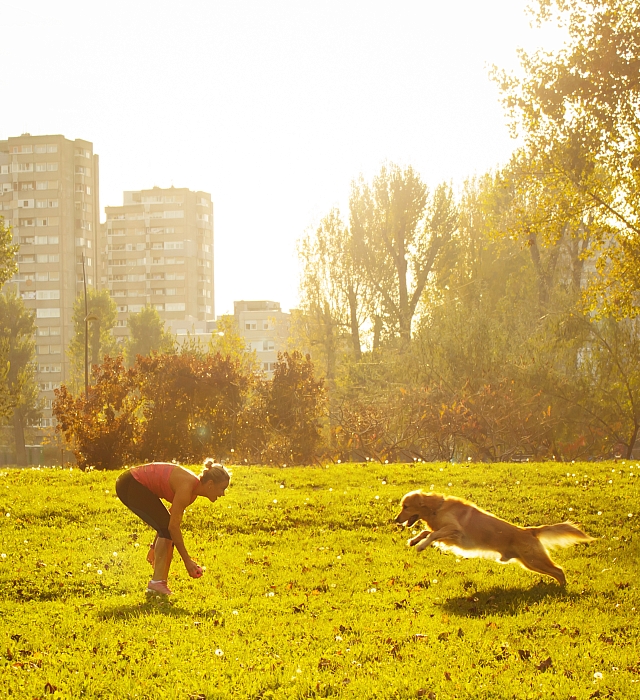 Woman and her dog playing in an urban park 