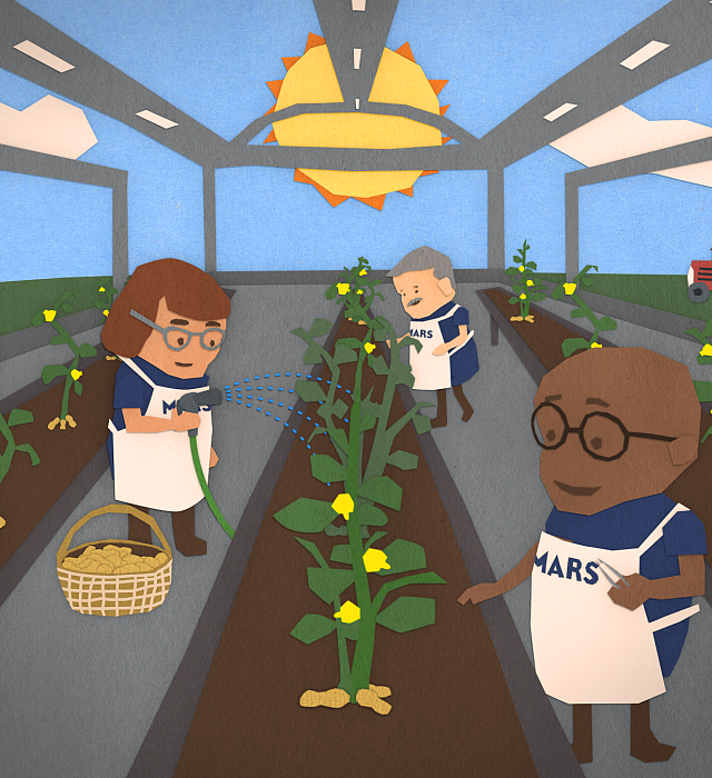 Protect the Peanut Plan Greenhouse Still