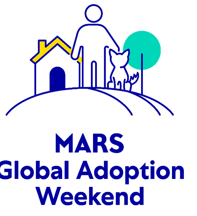 Global Adoption Weekend HERO_20251010
