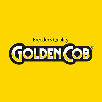 GOLDEN COB logo AU