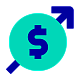 Currency icon