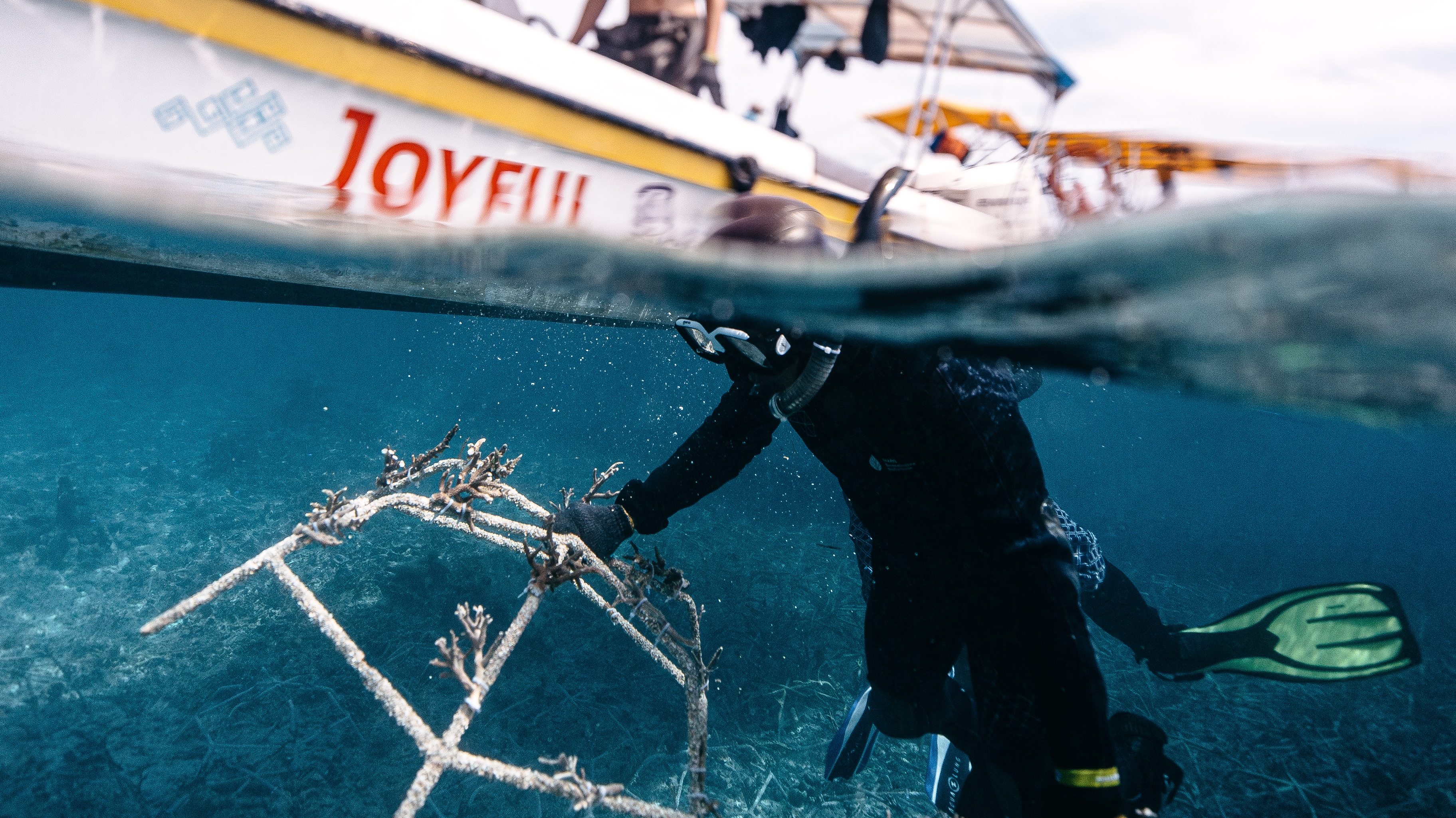A boat and diver underwater with reef stars