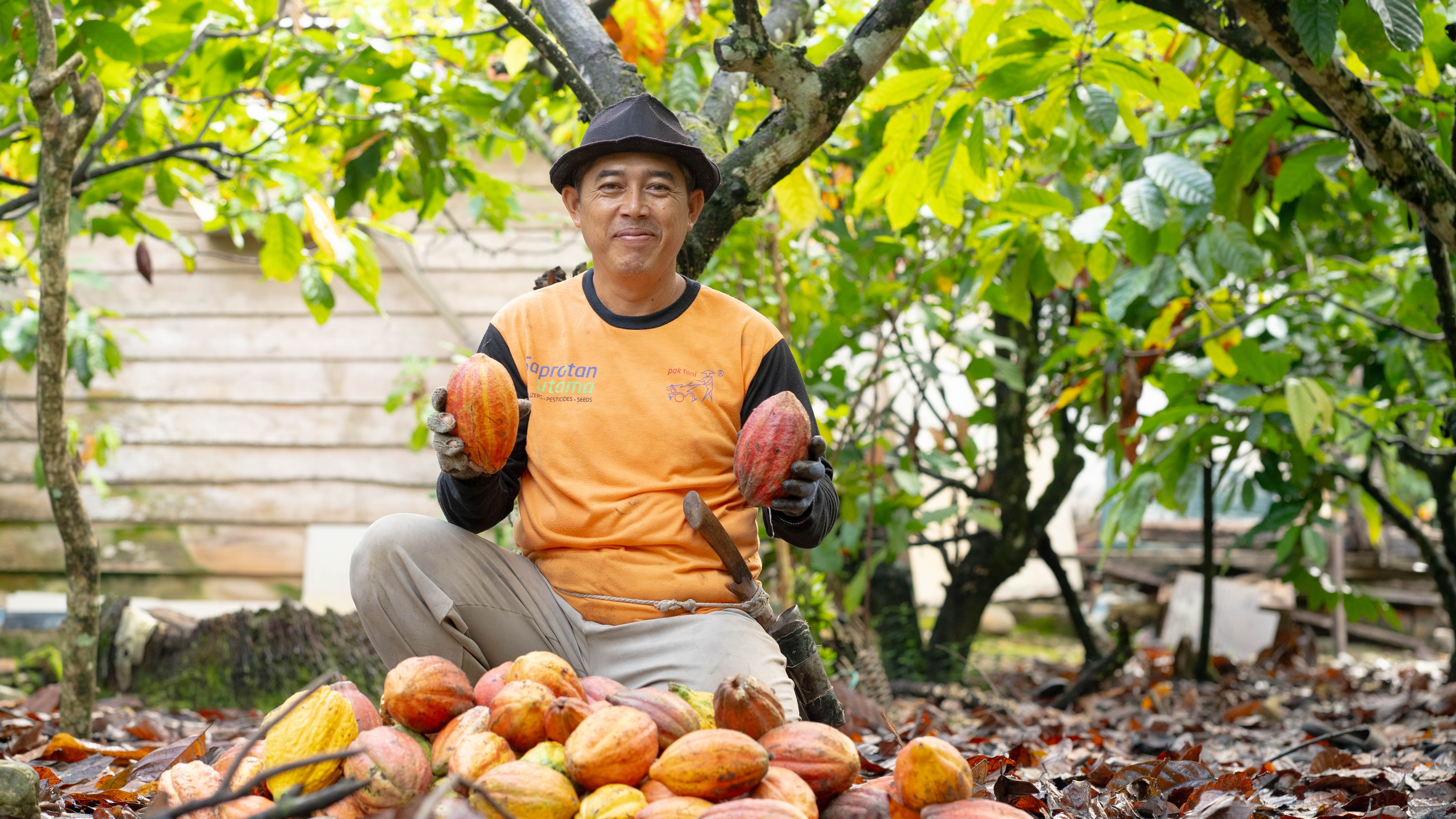  Cocoa doctor trained by the Mars Cocoa Academy