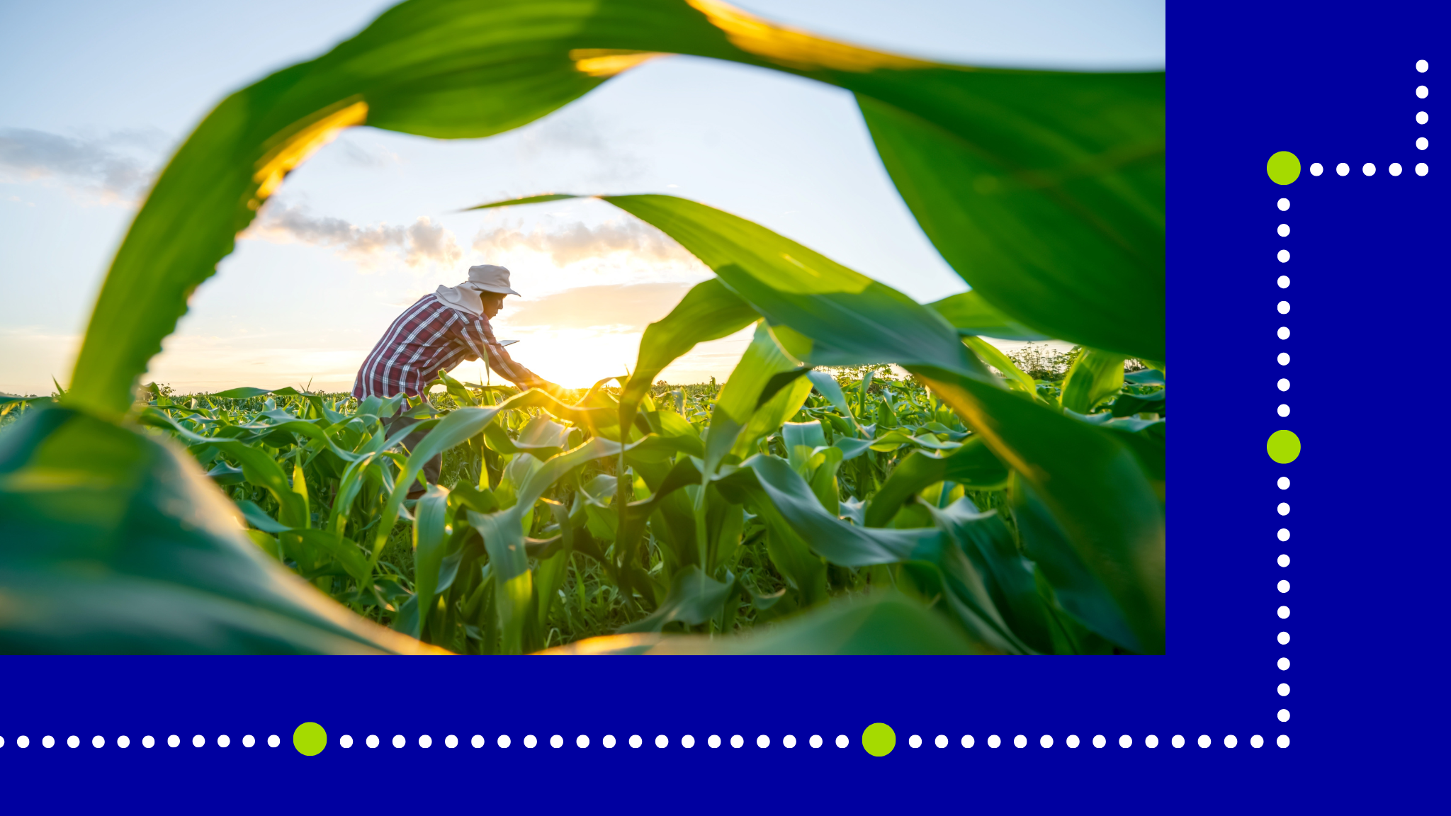 Powering sustainable farms