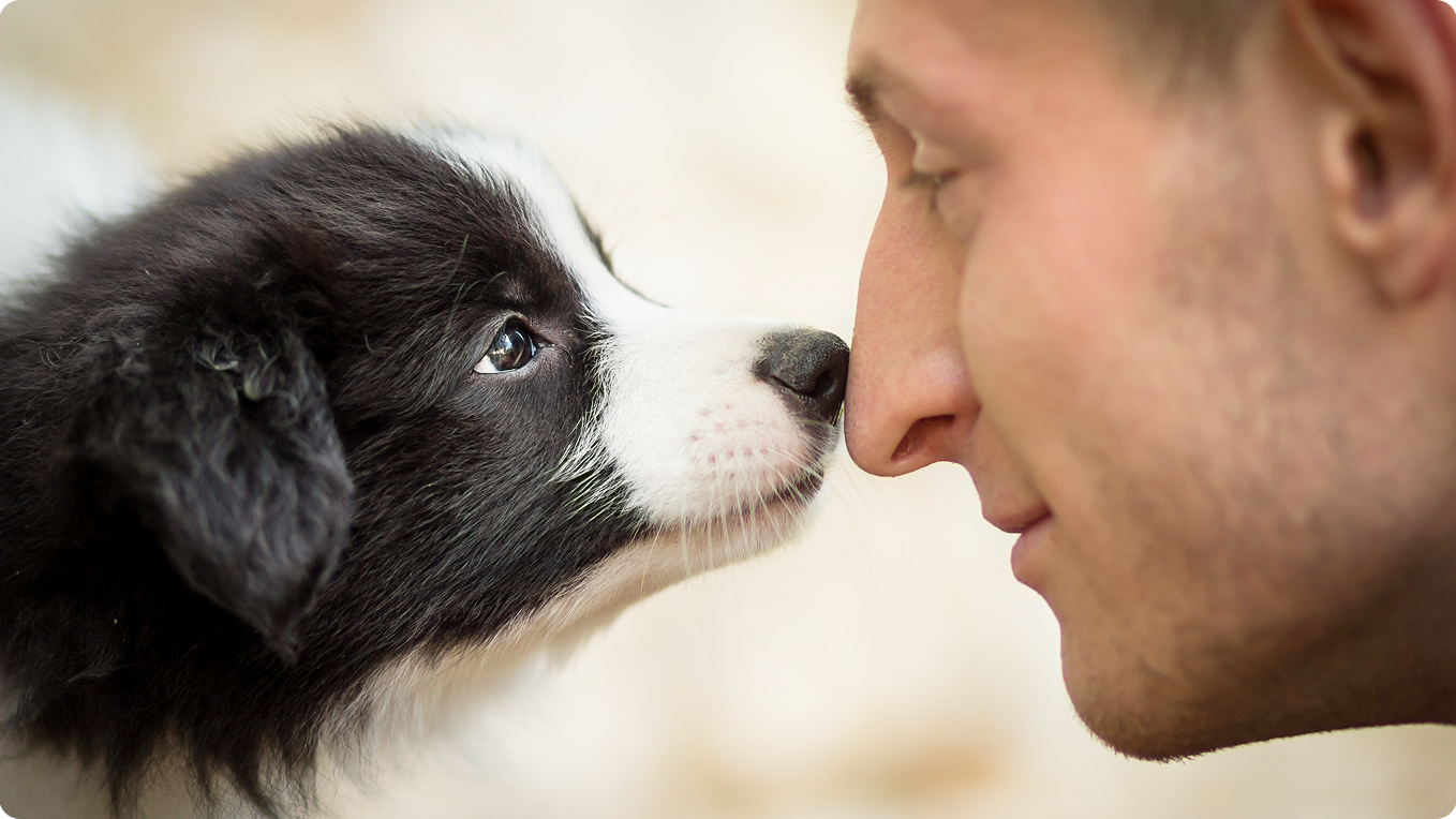 Man with dog nose to nose