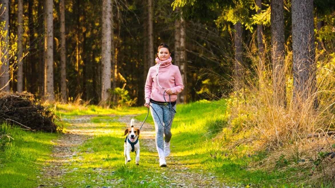 Official image for IAMS and Strava Pet Tag partnership