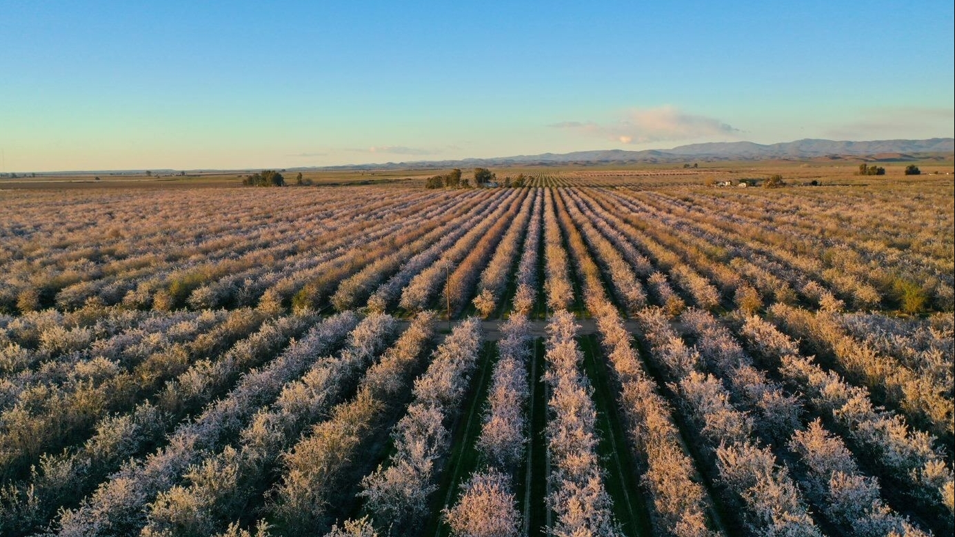 KIND Snacks Achieves Major Regenerative Agriculture Milestone in Almond Sourcing