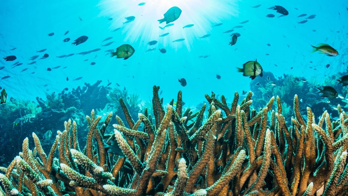 Stocksy txp6d17e105nvJ200 OriginalDelivery 2271187