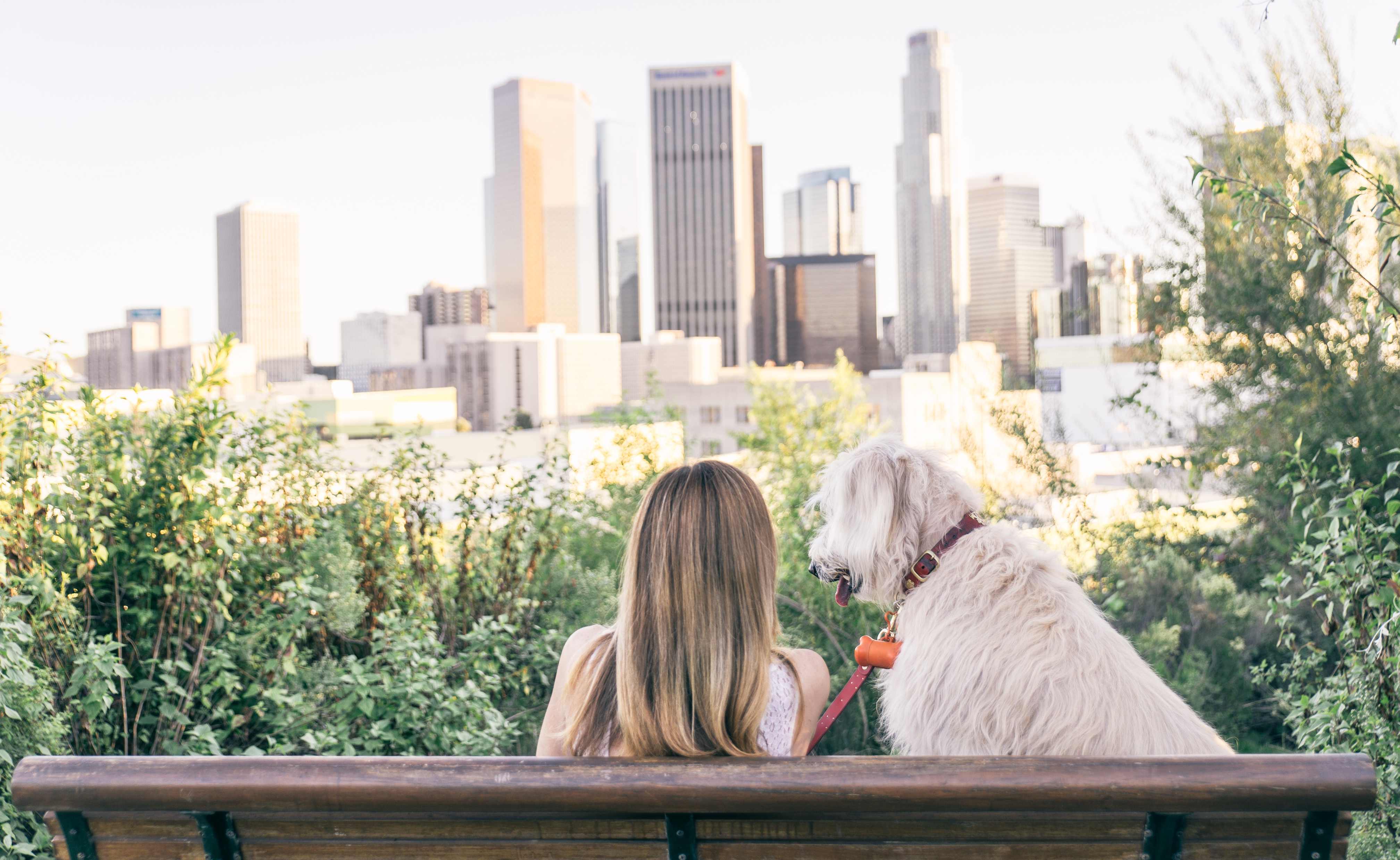 A woman sits with a dog on a bench in front of city buildings