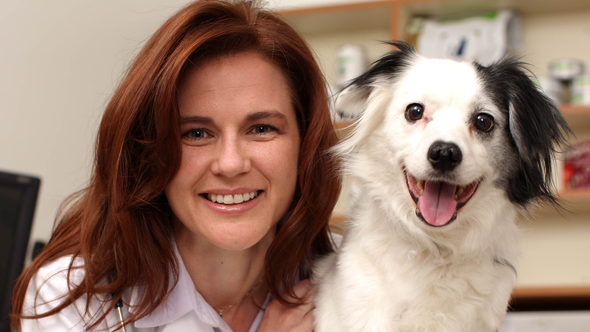 A veterinarian holding a dog at Banfield Pet Hospital
